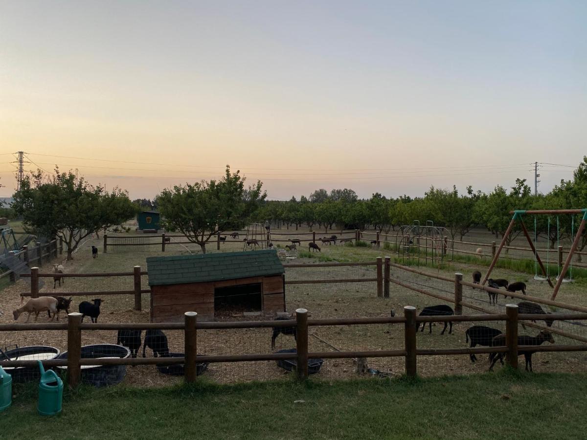 Agriturismo San Michele San Michele  외부 사진