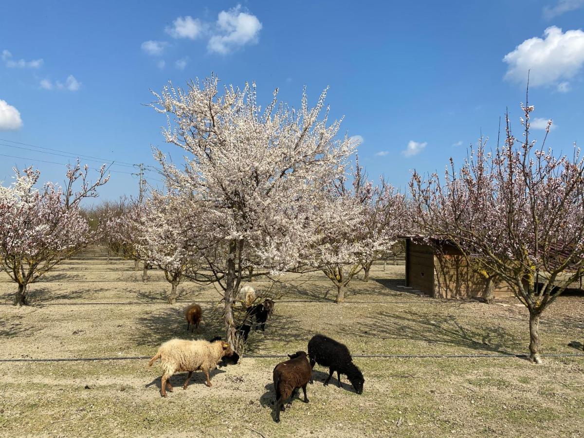 Agriturismo San Michele San Michele  외부 사진